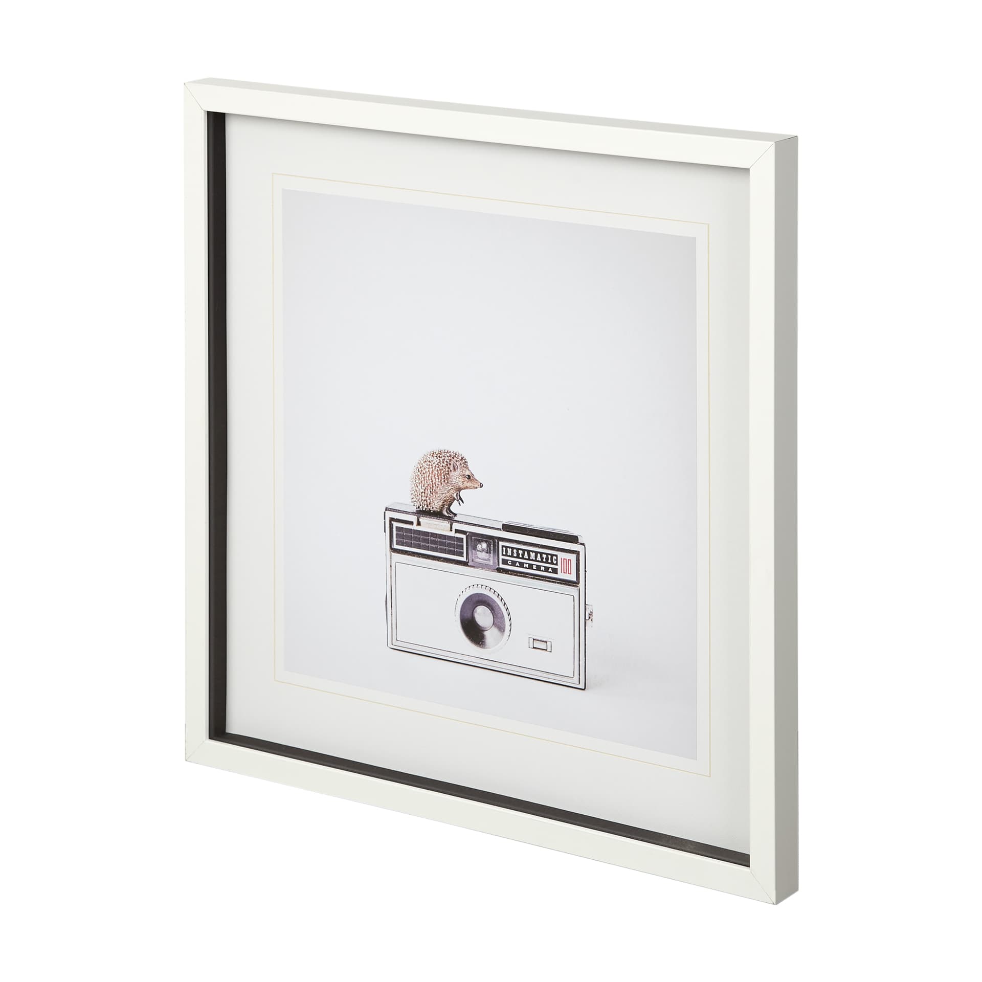 Hedgehog & Vintage Camera by Susannah Tucker Photography a Framed Photo Art Print Matted under Glass — product photograph