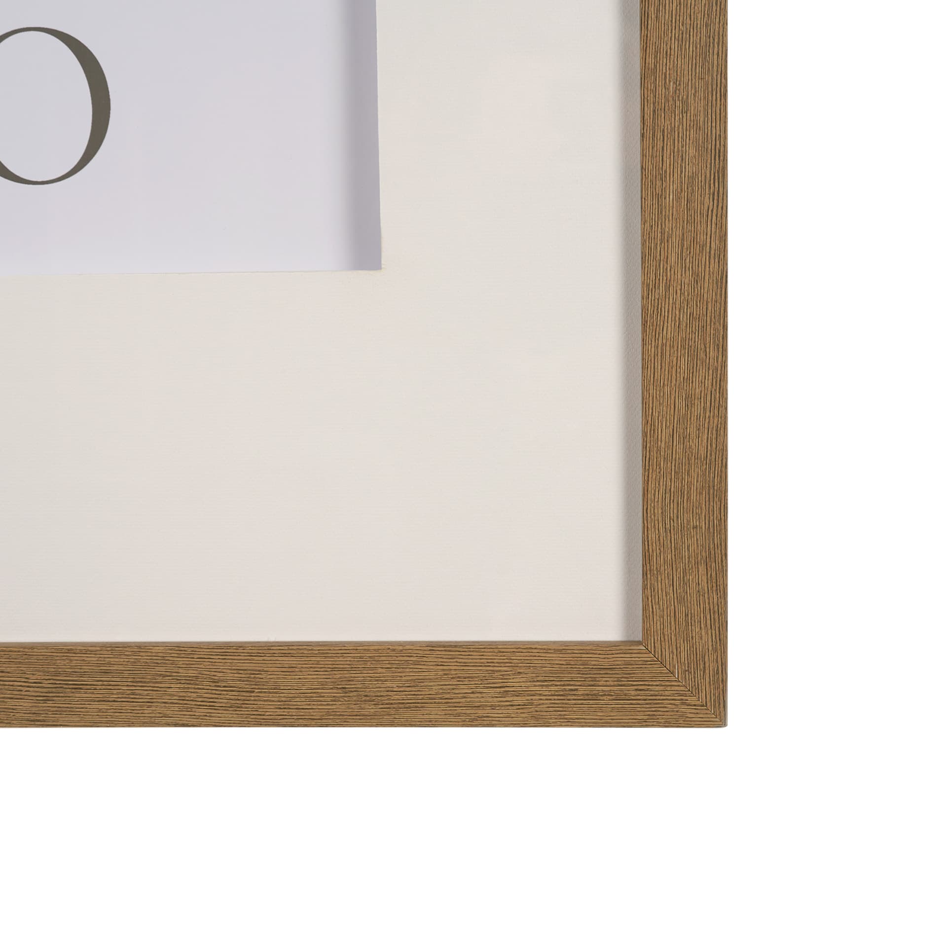 Belleza En Flores III by Mercana Studio a Framed Art Print Matted under Glass — product photograph