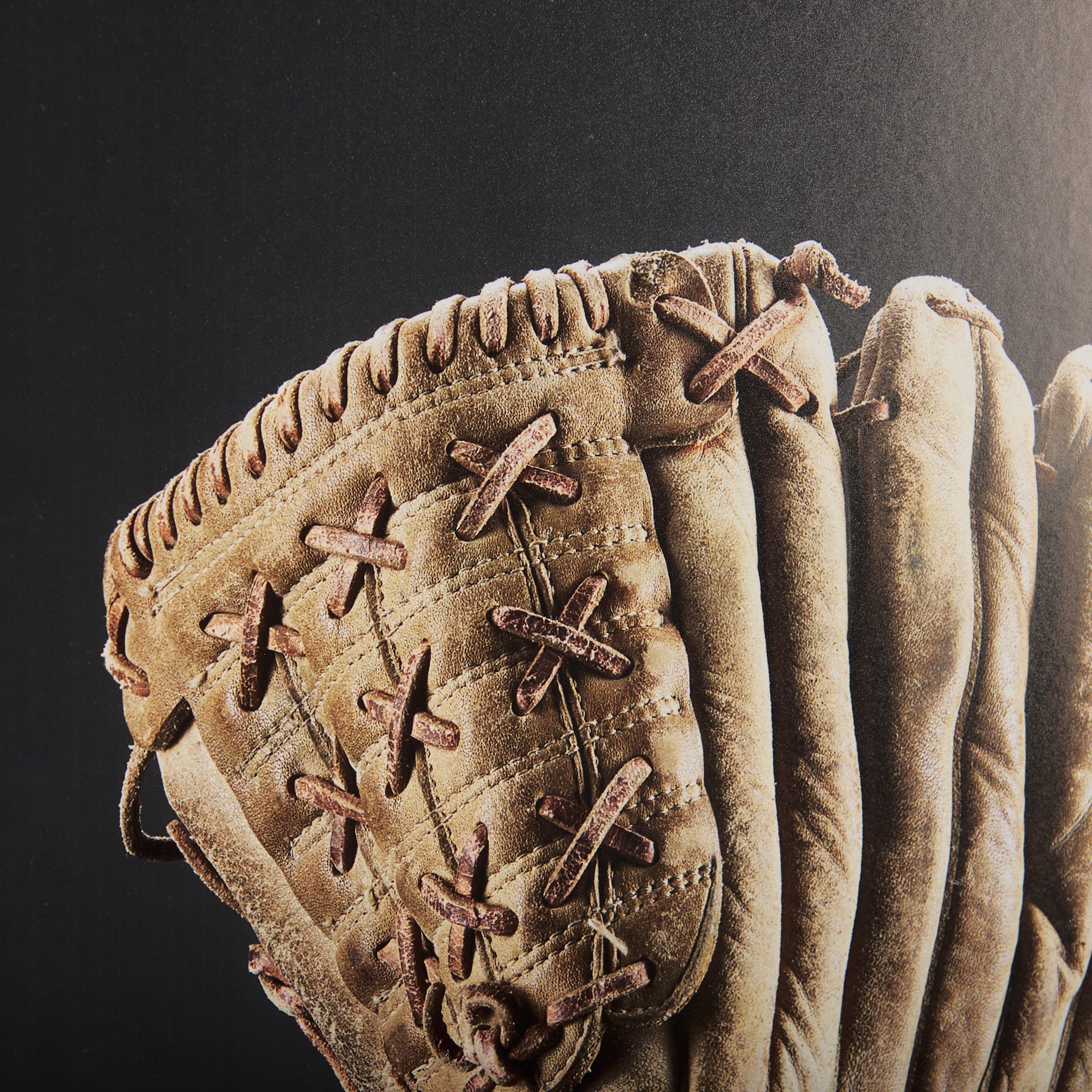 Pop Fly II by Mercana Studio a Hand Embellished Textured Framed Photo Art Print Matted under Glass — product photograph
