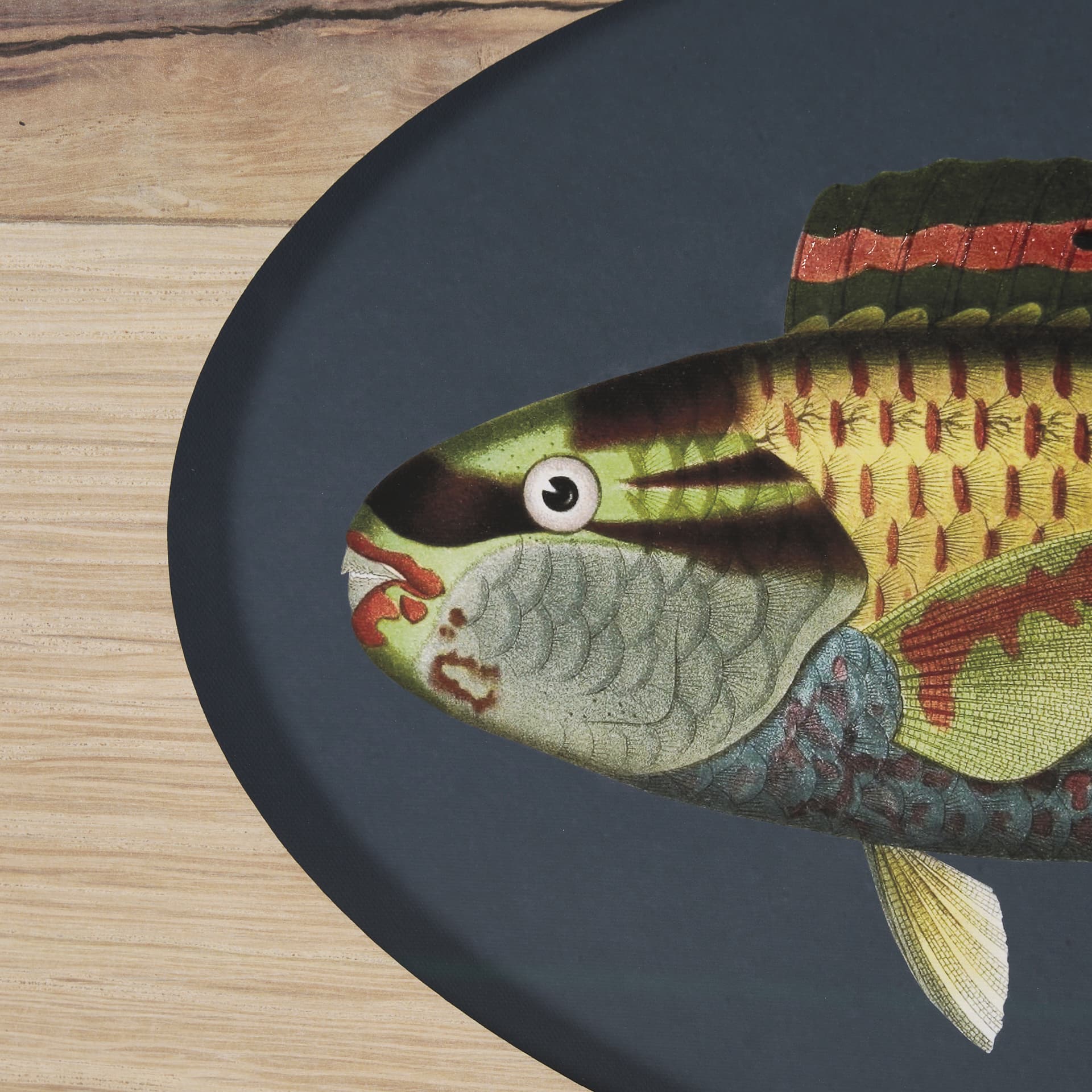Scarus Ghobban by Mercana Studio a Hand Embellished Textured Framed Art Print Matted under Glass — product photograph
