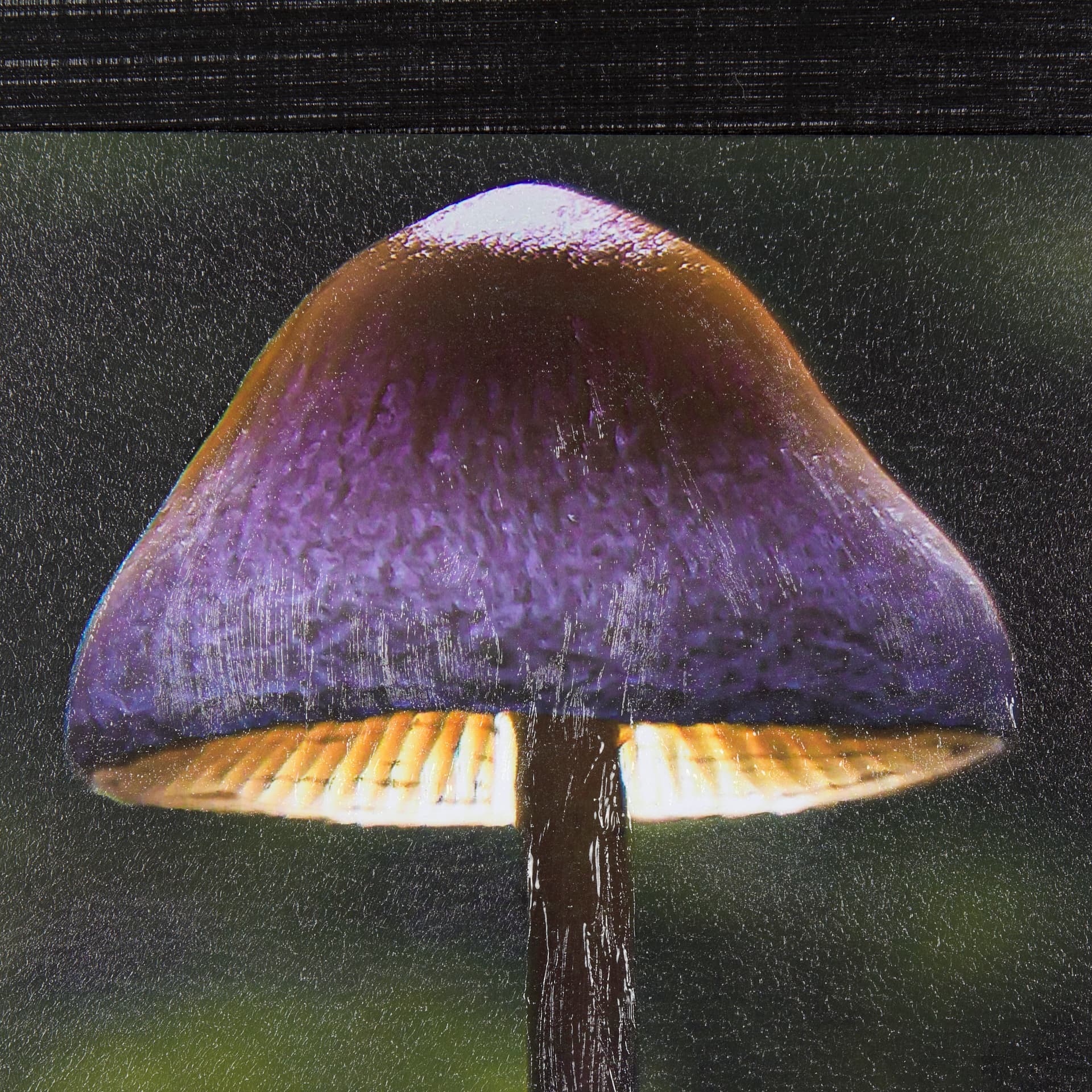 Mushroom by Chad Mackay a Hand Embellished Textured Framed Photo Art Print — product photograph