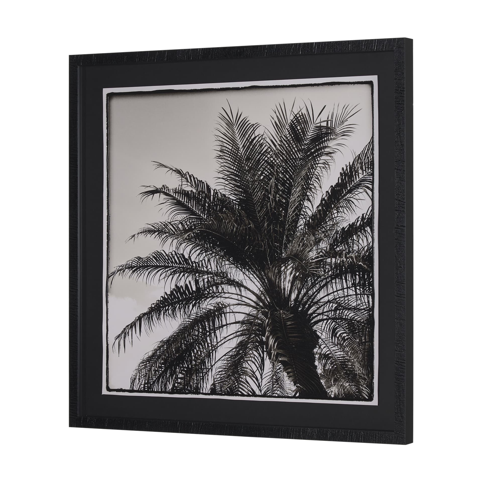 Palm Tree Sepia I by Debra Van Swearingen a Hand Embellished Framed Photo Art Print Matted under Gla — product photograph