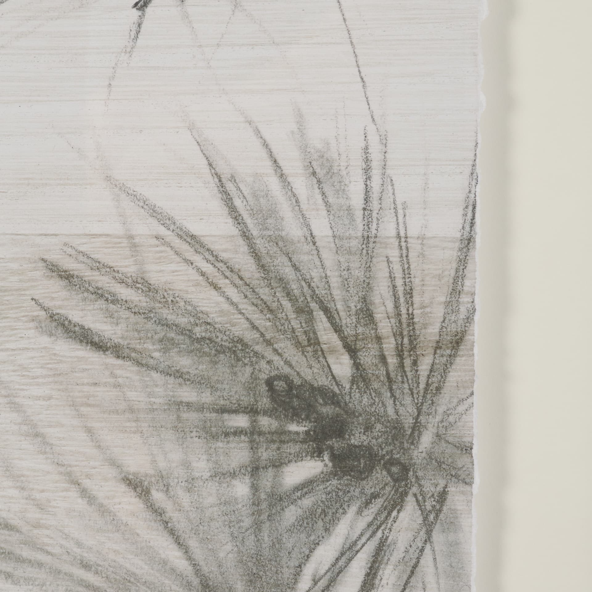 Ponderosa Whisper by Mercana Studio Hand Embelished Framed Artwork Matted under Glass — product photograph