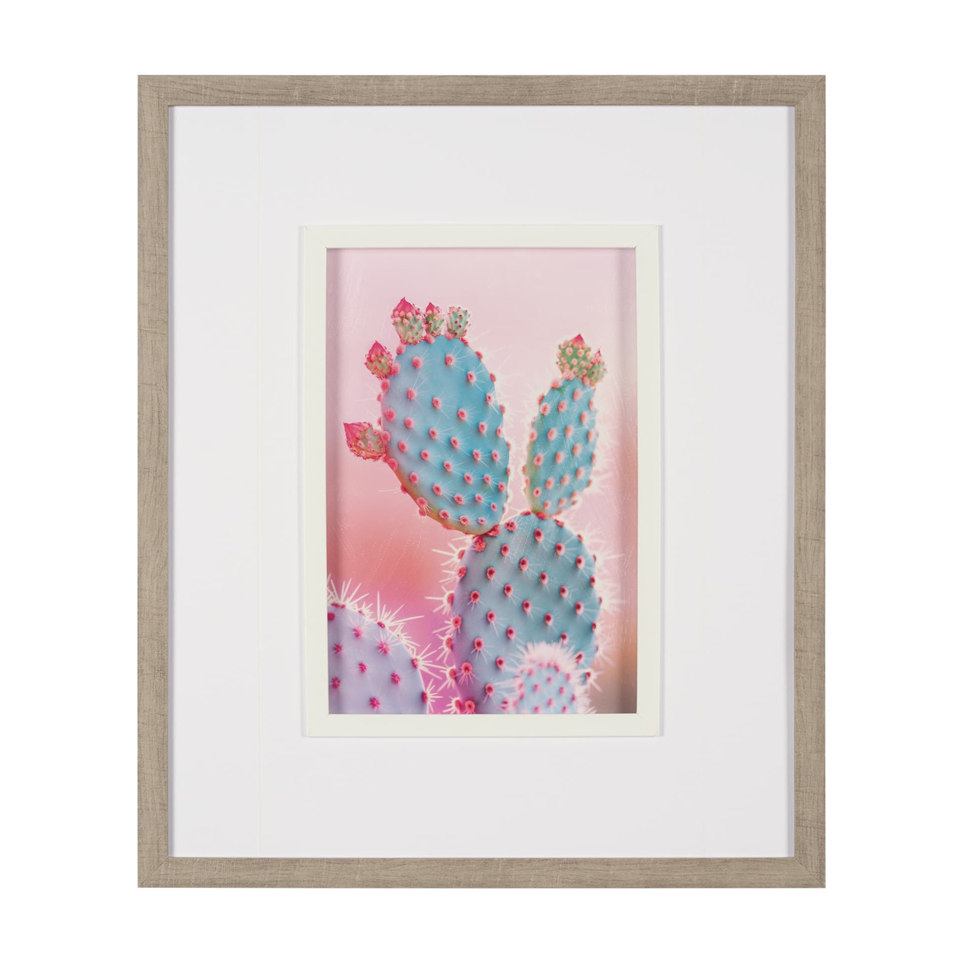 Blush Botanicals - Spines by Philippe Hugonnard a Hand Embellished Framed Photo Art Print Matted und — product photograph
